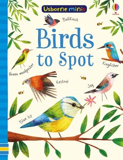 Birds to Spot von Usborne Publishing