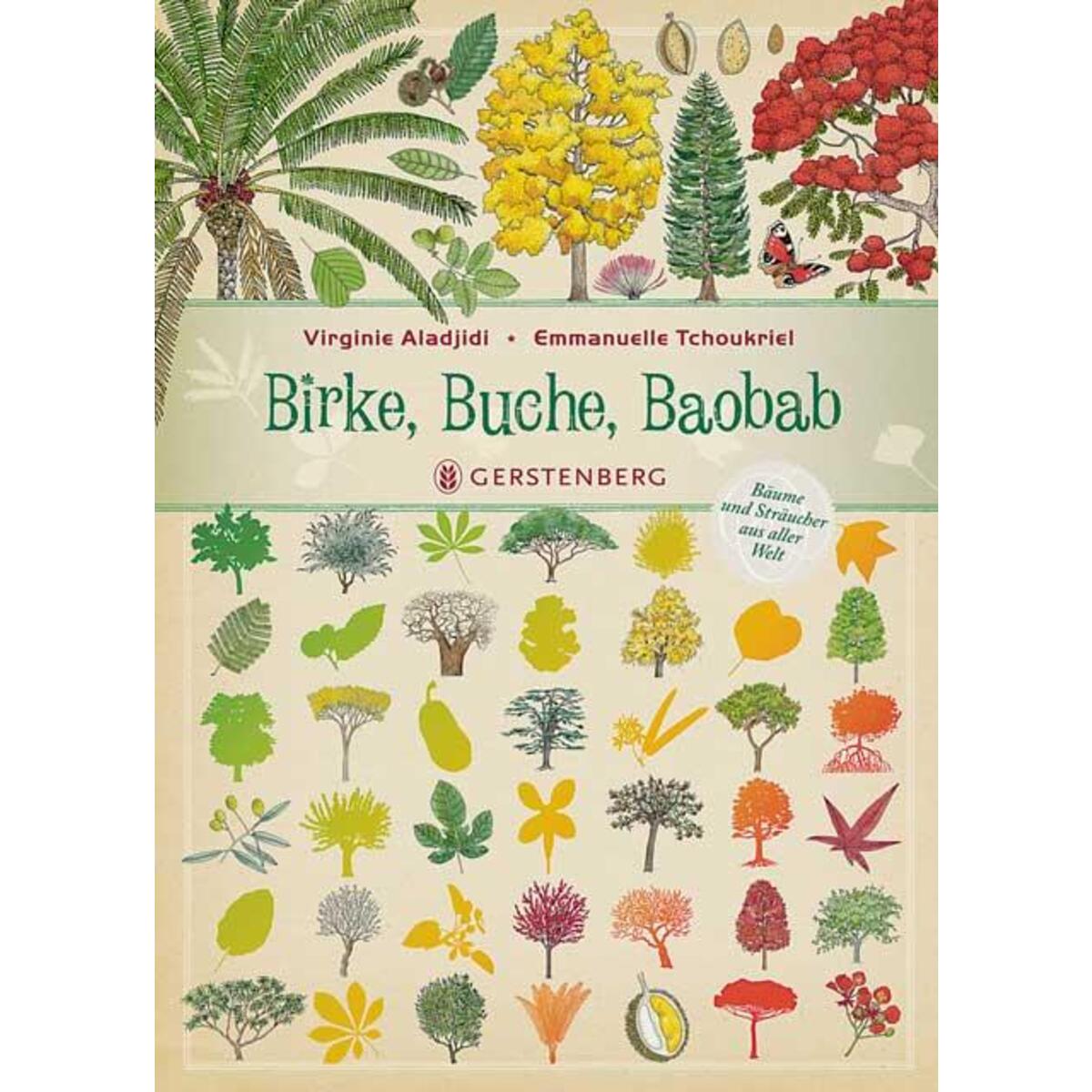 Birke, Buche, Baobab von Gerstenberg Verlag