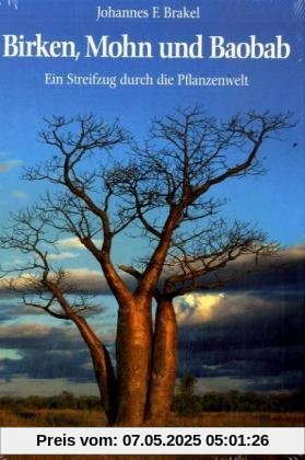 Birken, Mohn und Baobab: Ein Streifzug durch die Pflanzenwelt