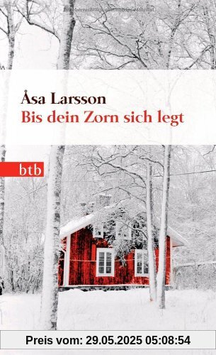 Bis dein Zorn sich legt: Roman (Das Besondere Taschenbuch)