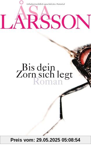 Bis dein Zorn sich legt: Roman