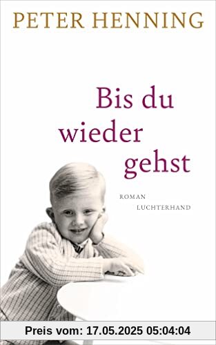 Bis du wieder gehst: Roman