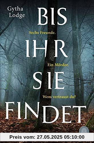 Bis ihr sie findet (Detective Chief Inspector Sheens ermittelt, Band 1)