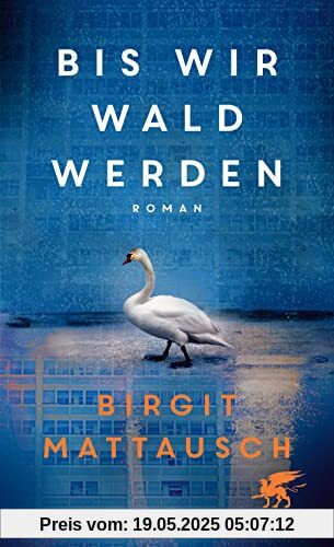 Bis wir Wald werden: Roman