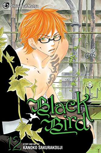 Black Bird Volume 12 (BLACK BIRD GN, Band 12) von Viz Media