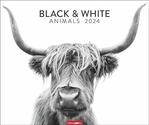 Black & White Animals 2024. Stars der Tierwelt in einem Fotokunst-Kalender! Großer Wandkalender für Tier-Freunde - hochwertige Aufnahmen in Schwarz-Weiß von Weingarten