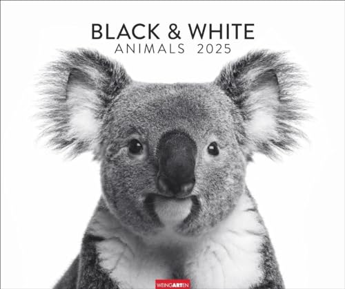 Black & White Animals 2025: Stars der Tierwelt in einem Fotokunst-Kalender! Großer Wandkalender für Tier-Freunde - hochwertige Aufnahmen in Schwarz-Weiß