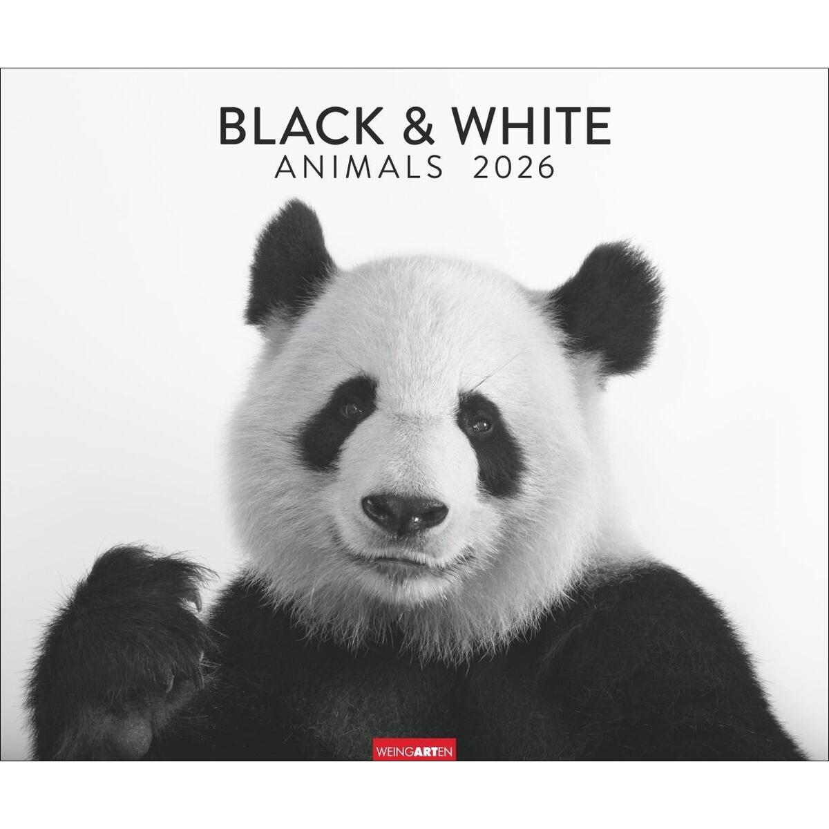 Black & White Animals 2026 Black & White Animals 2026 von Weingarten
