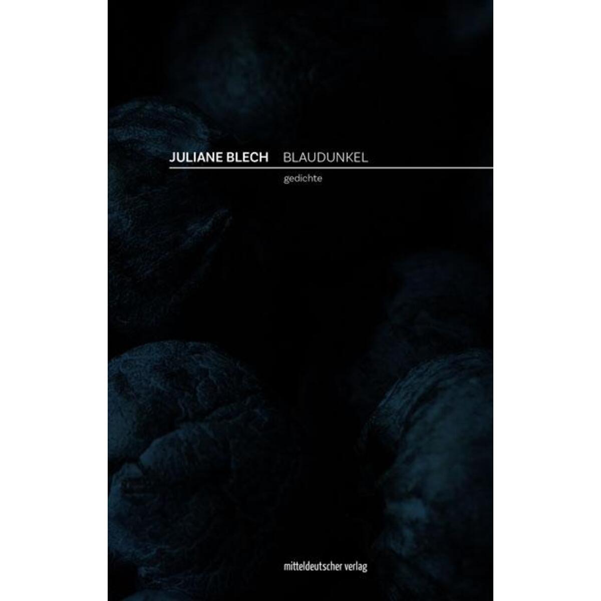 Blaudunkel von Mitteldeutscher Verlag