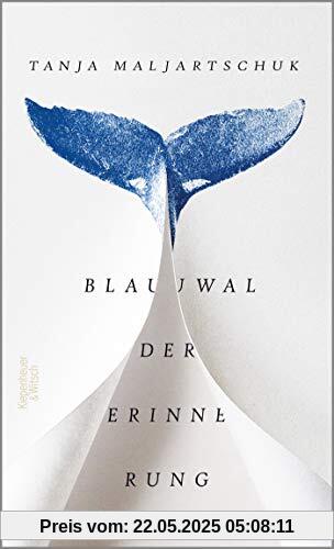 Blauwal der Erinnerung: Roman