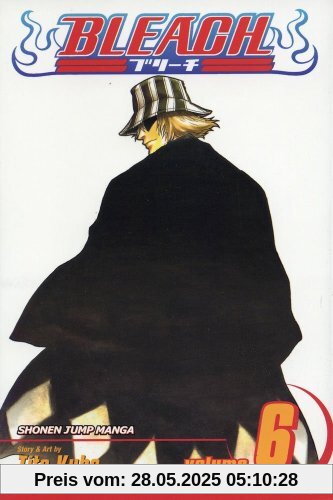 Bleach, Vol. 6: The Death Trilogy Overture: v. 6
