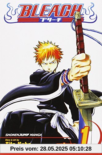 Bleach Volume 1 Bleach Volume 1