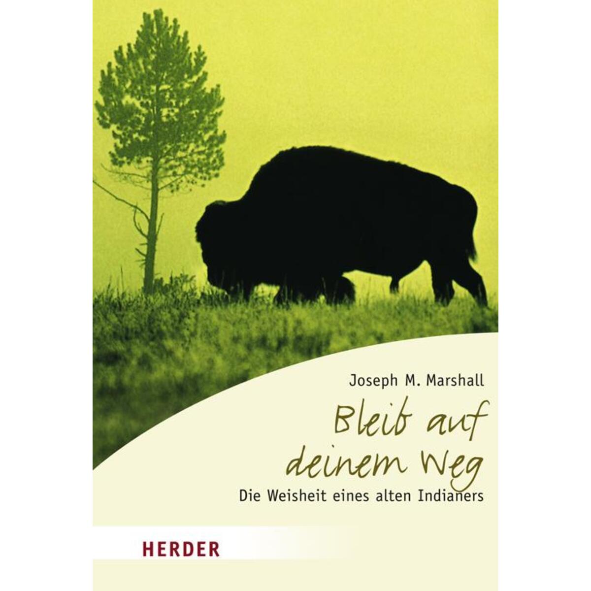 Bleib auf deinem Weg von Herder Verlag GmbH