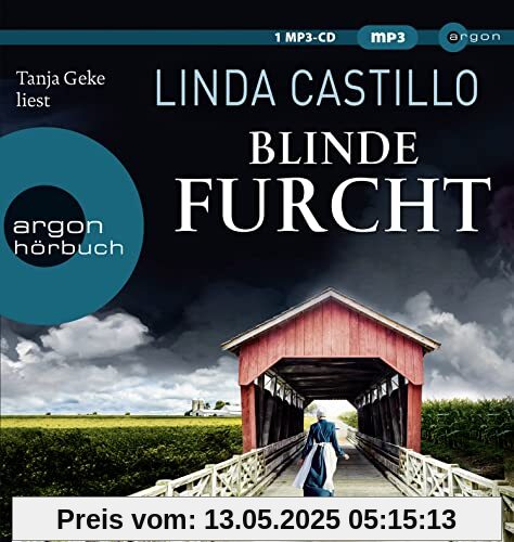 Blinde Furcht: Der neue Fall für Kate Burkholder (Kate Burkholder ermittelt, Band 13)