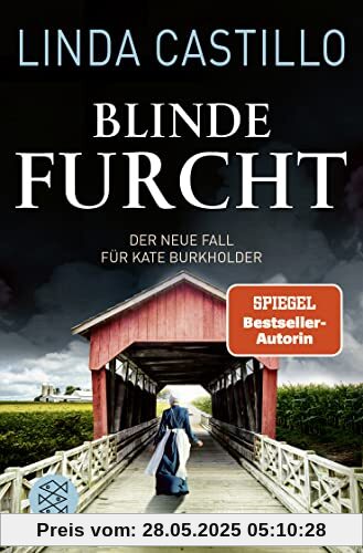 Blinde Furcht: Thriller (Kate Burkholder ermittelt, Band 13)