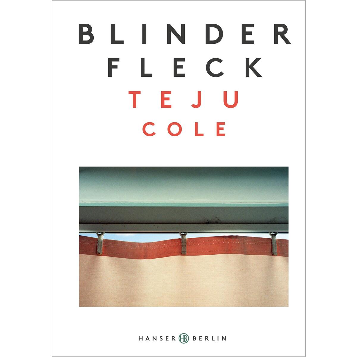 Blinder Fleck von Hanser Berlin