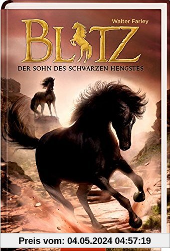Blitz (Bd. 3): Der Sohn des schwarzen Hengstes