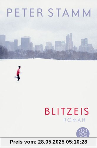 Blitzeis: Erzählungen Blitzeis: Erzählungen