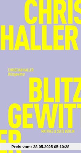 Blitzgewitter: Eine kurze Geschichte des Lichts, in das wir uns stellen (Fröhliche Wissenschaft)