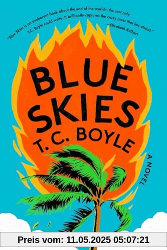 Blue Skies: A Novel