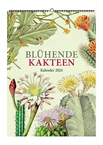 Blühende Kakteen. Wandkalender 2024: Zeichnungen von Toni Gürke von Favoritenpresse GmbH