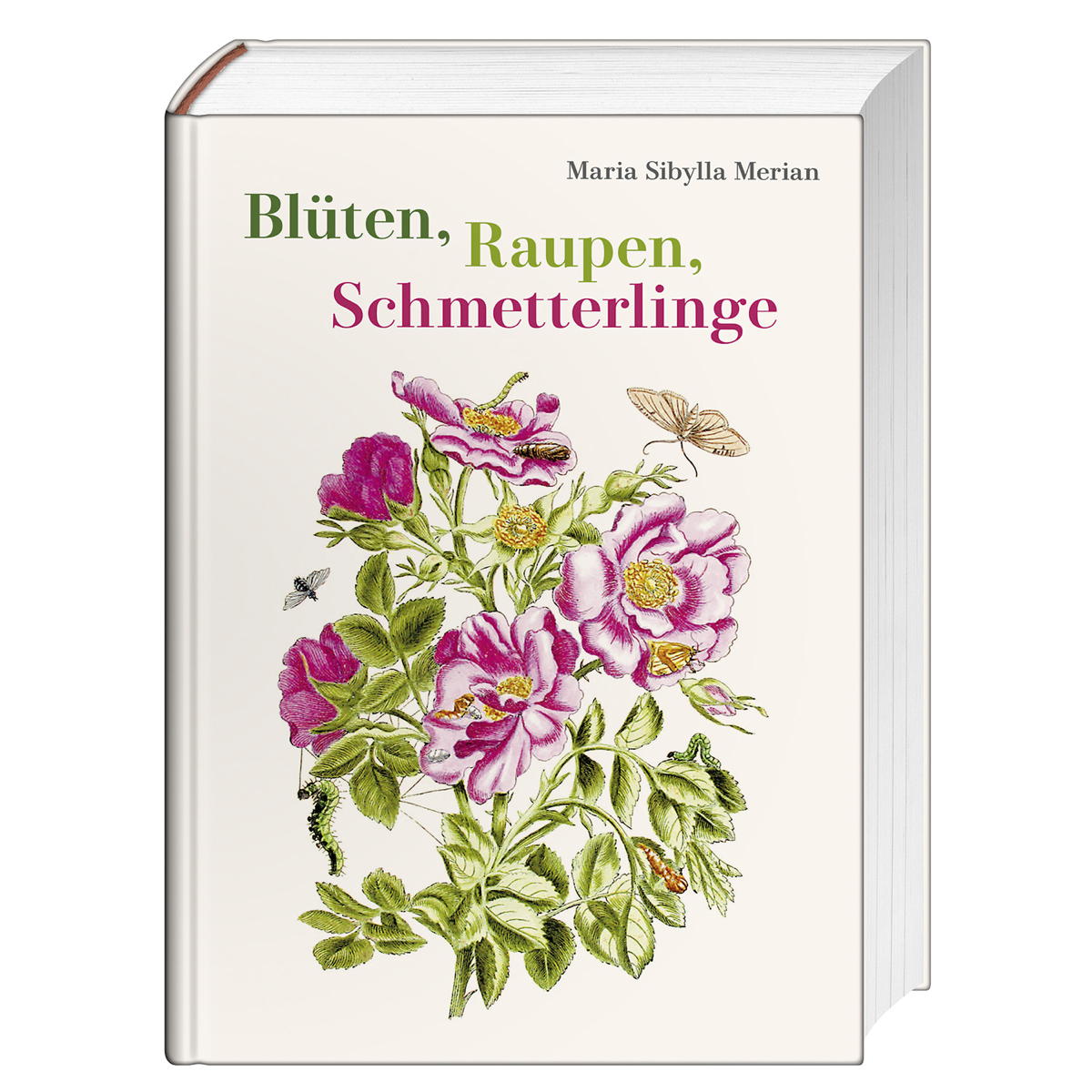 Blüten, Raupen, Schmetterlinge Blüten, Raupen, Schmetterlinge von Favoritenpresse GmbH
