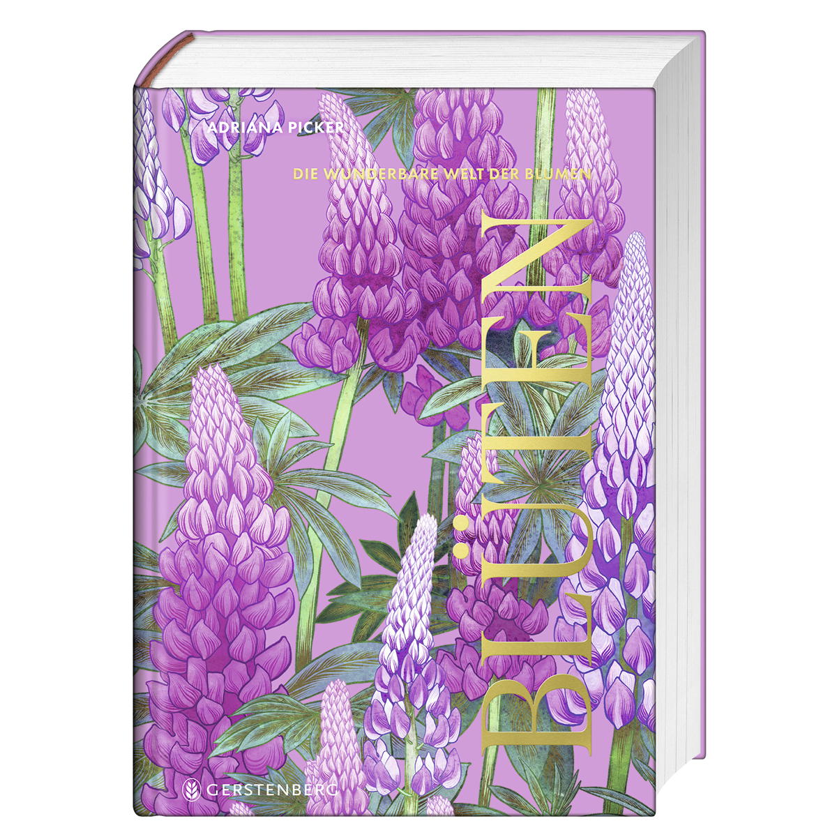 Blüten Blüten von Gerstenberg Verlag