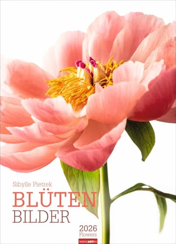 Blütenbilder Kalender 2026: Großer Jahres-Wandkalender mit stilvollen Fotos prachtvoller Blüten. Blumen-Kalender für die Wand. 49 x 68 cm. Hochformat von Weingarten