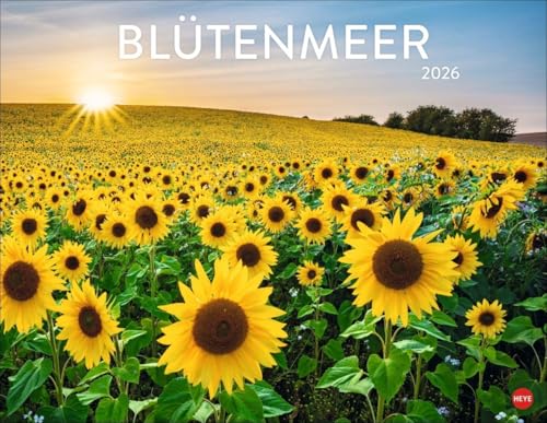 Blütenmeer Posterkalender 2026: Wandkalender mit 12 beeindruckenden Landschaftsfotos. Dekorativer Jahres-Kalender mit üppigen Blumenwiesen. 44 x 34 cm. Querformat. von Heye