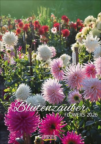 Blütenzauber 2026: Wandkalender mit Fotos von wunderschönen Blumenparadiesen. Format 23,5 x 33,5 cm. von Korsch Verlag