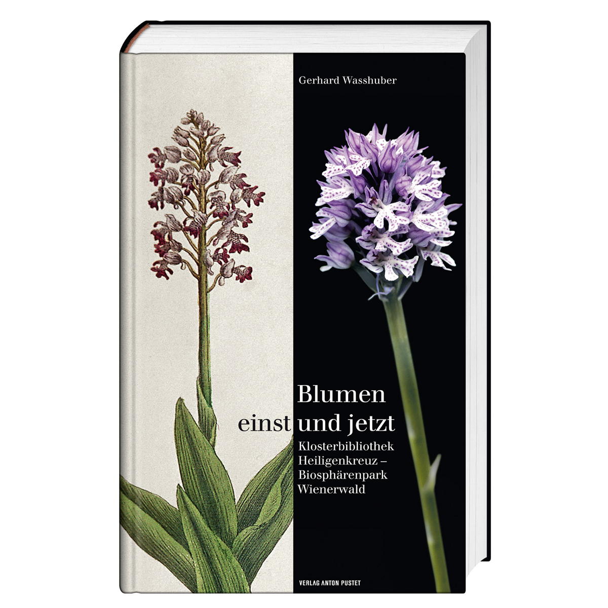Blumen einst und jetzt Blumen einst und jetzt