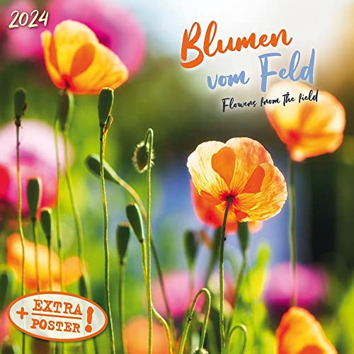 Blumen vom Feld 2024: Kalender 2024 (Artwork Edition) von Tushita PaperArt