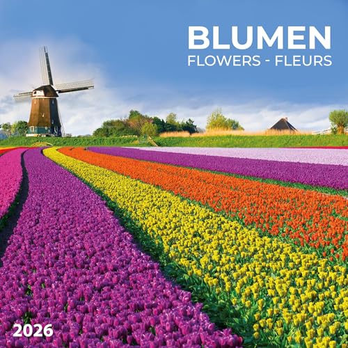 Blumen vom Feld 2026: Kalender 2026 (Artwork Edition) von Tushita PaperArt