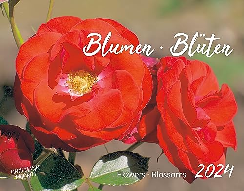 Blumen Blüten Kalender 2024 | Natur Kalender im Großformat (58 x 45,5 cm): Flowers . Blossoms 2024 von Linnemann Siegbert