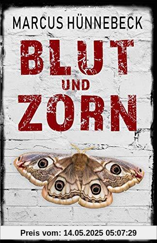 Blut und Zorn: Thriller