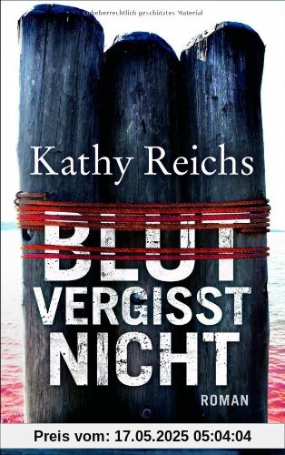 Blut vergisst nicht: Roman Blut vergisst nicht: Roman