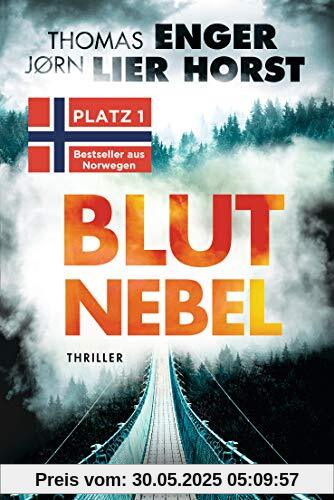 Blutnebel: Thriller (Alexander Blix und Emma Ramm, Band 2)