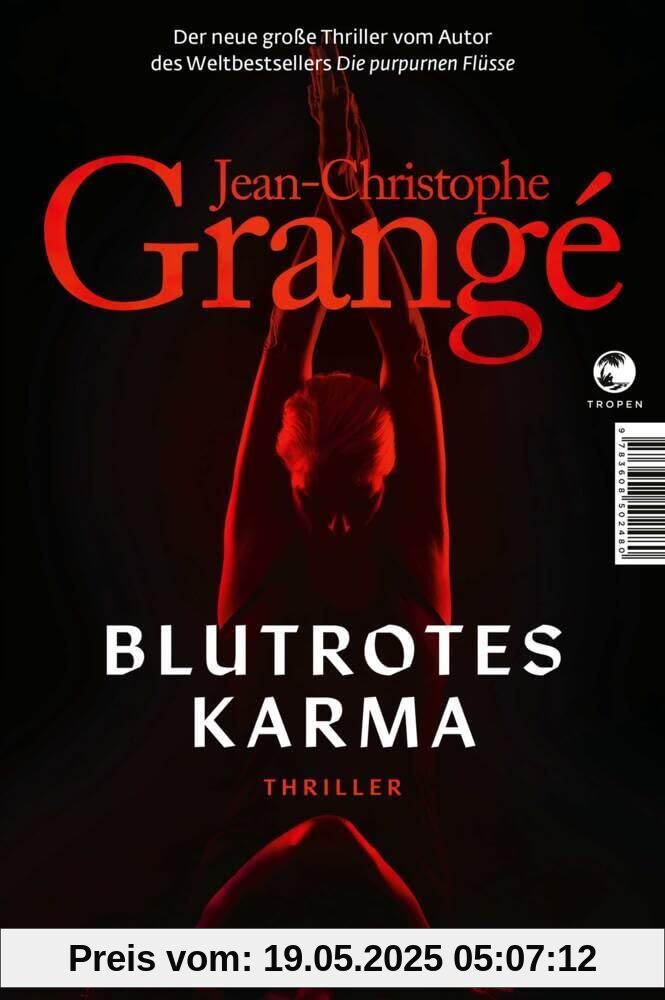 Blutrotes Karma: Thriller