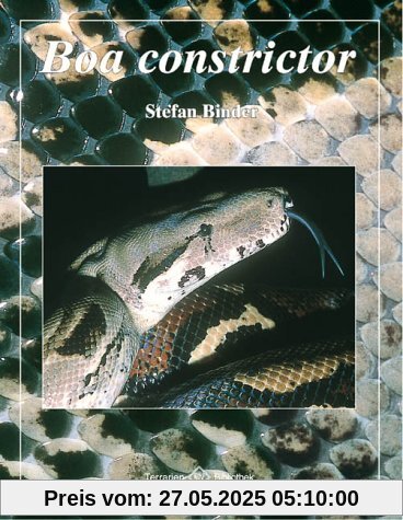 Boa constrictor