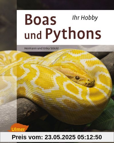 Boas und Pythons
