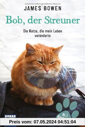 Bob, der Streuner: Die Katze, die mein Leben veränderte