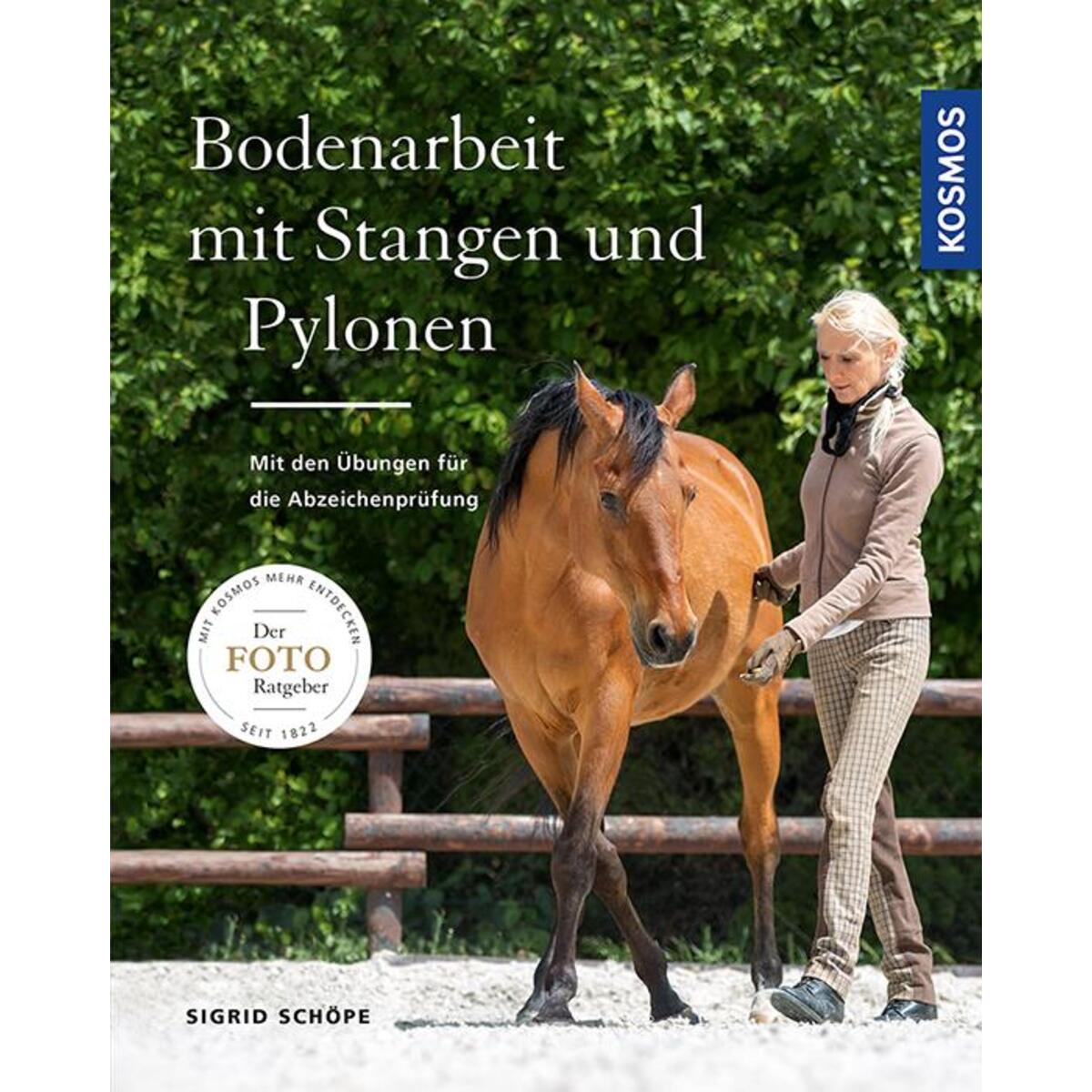 Bodenarbeit mit Stangen und Pylonen von Franckh-Kosmos