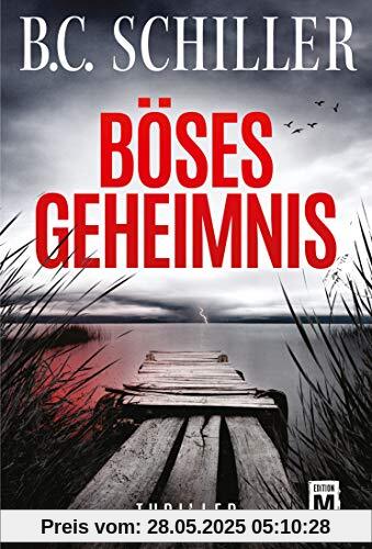 Böses Geheimnis (Levi Kant, Band 1)