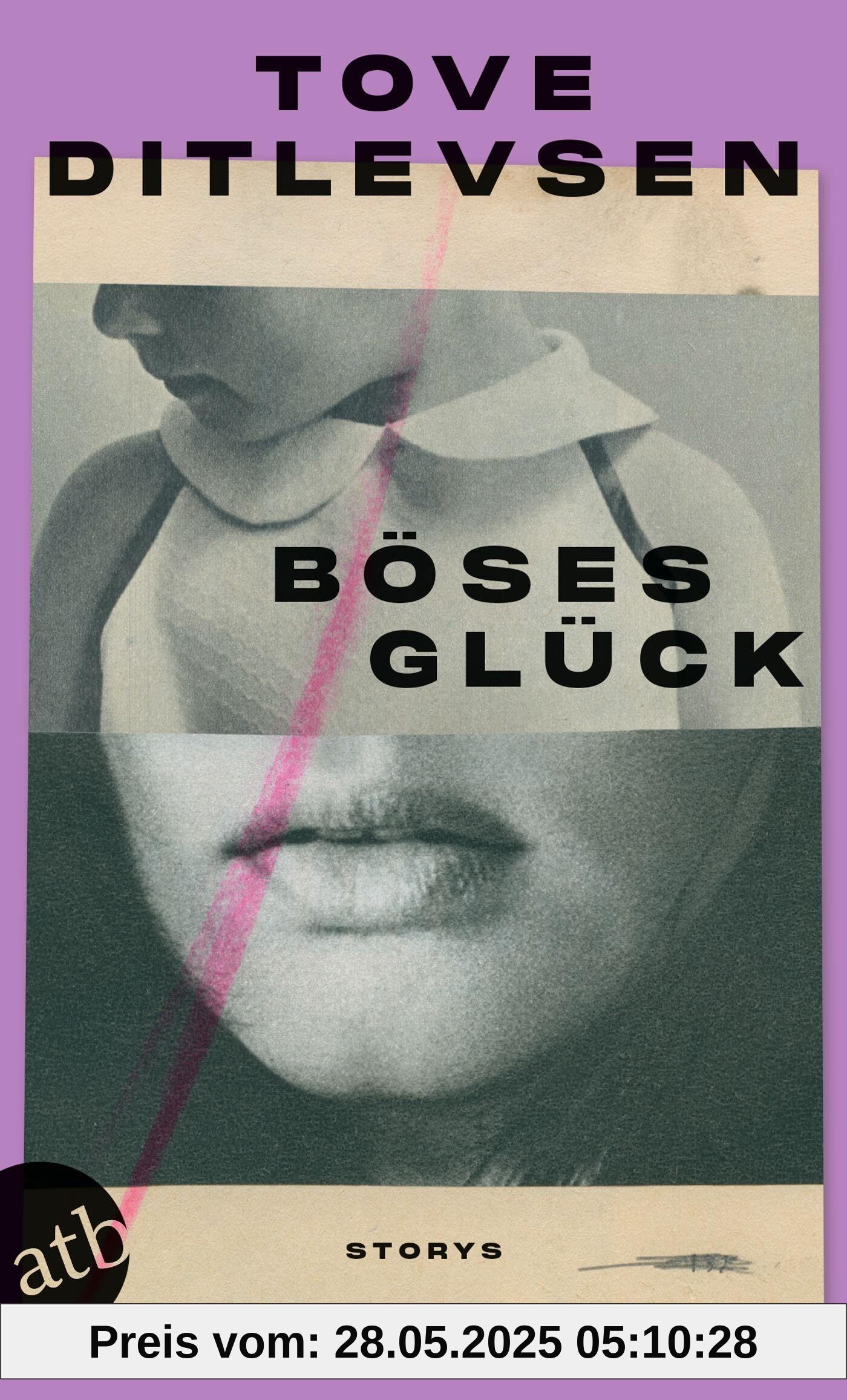 Böses Glück: Storys Böses Glück: Storys