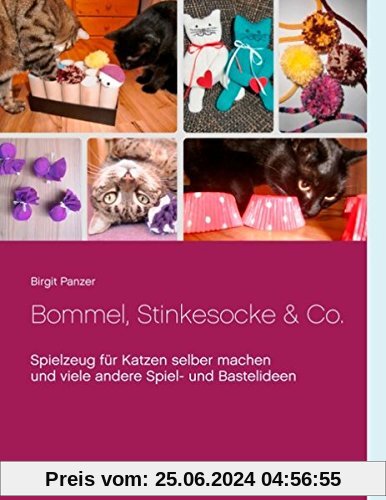 Bommel, Stinkesocke & Co.: Spielzeug für Katzen selber machen und viele andere Spiel- und Bastelideen