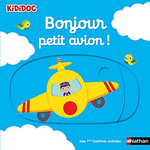 Bonjour petit avion ! (11)