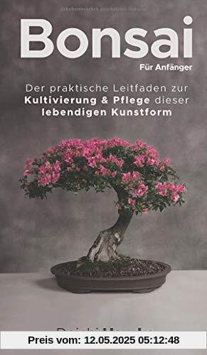 Bonsai für Anfänger: Der praktische Leitfaden zur Kultivierung & Pflege dieser lebendigen Kunstform
