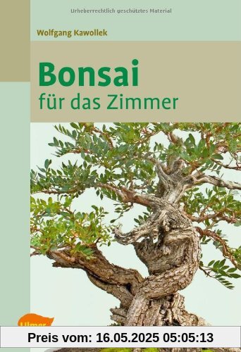 Bonsai für das Zimmer