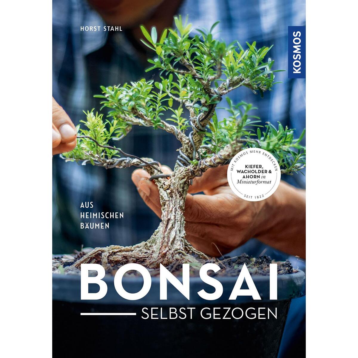 Bonsai selbst gezogen von Franckh-Kosmos
