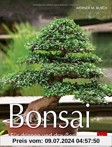 Bonsai: Für draußen und drinnen